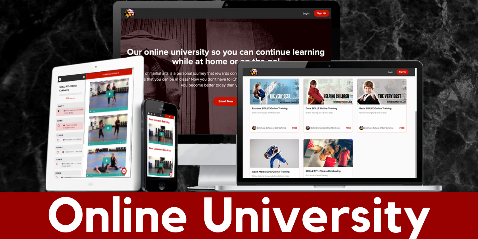 Online University